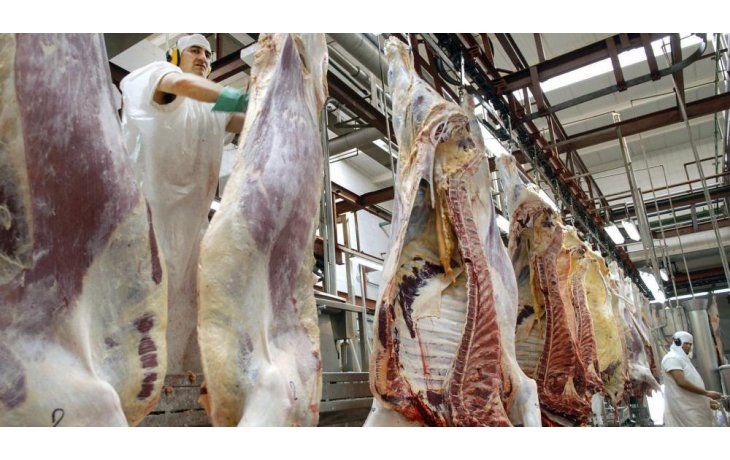 Ambos países acordaron apertura recíproca del mercado. El ministerio de Agricultura trabaja en un acuerdo con el país asiático para colocar arándanos, uvas y cerezas en el mercado nipón.
