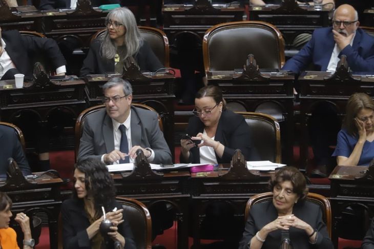 Germán Martínez y Cecilia Moreau, referentes de Fuerza Patria. Germán Martínez y Cecilia Moreau, referentes de Fuerza Patria.