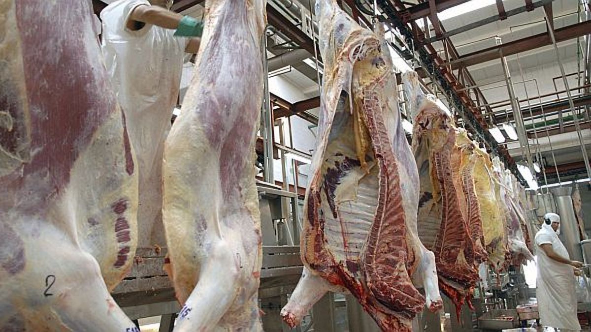 Exportación de carne: el Gobierno abrió la inscripción para la Cuota Hilton 2026-2027