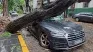 La ciudad de Buenos Aires se encuentra bajo alerta naranja por tormentas