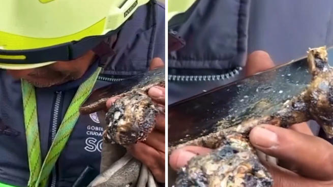 El celular calcinado que igual funcionó para realizar una llamada.