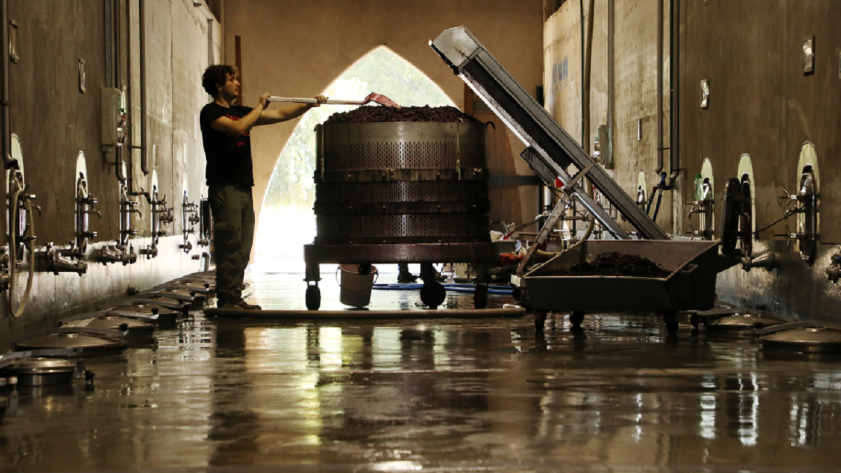 High -end wines: the obsession with the detail that defines the new Argentine luxury