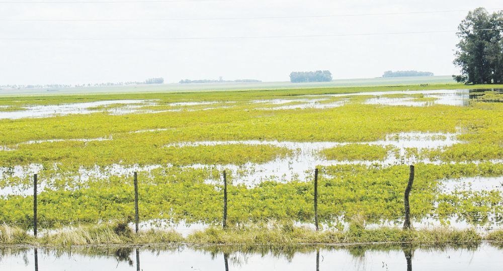 El trimestre mayo-julio se desarrollará bajo condiciones climáticas que marcan un punto de inflexión para el agro. 