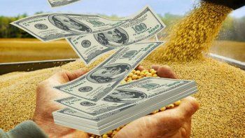 Dólar soja: ya se vendieron más de 500.000 toneladas e ingresaron casi u$s500 millones