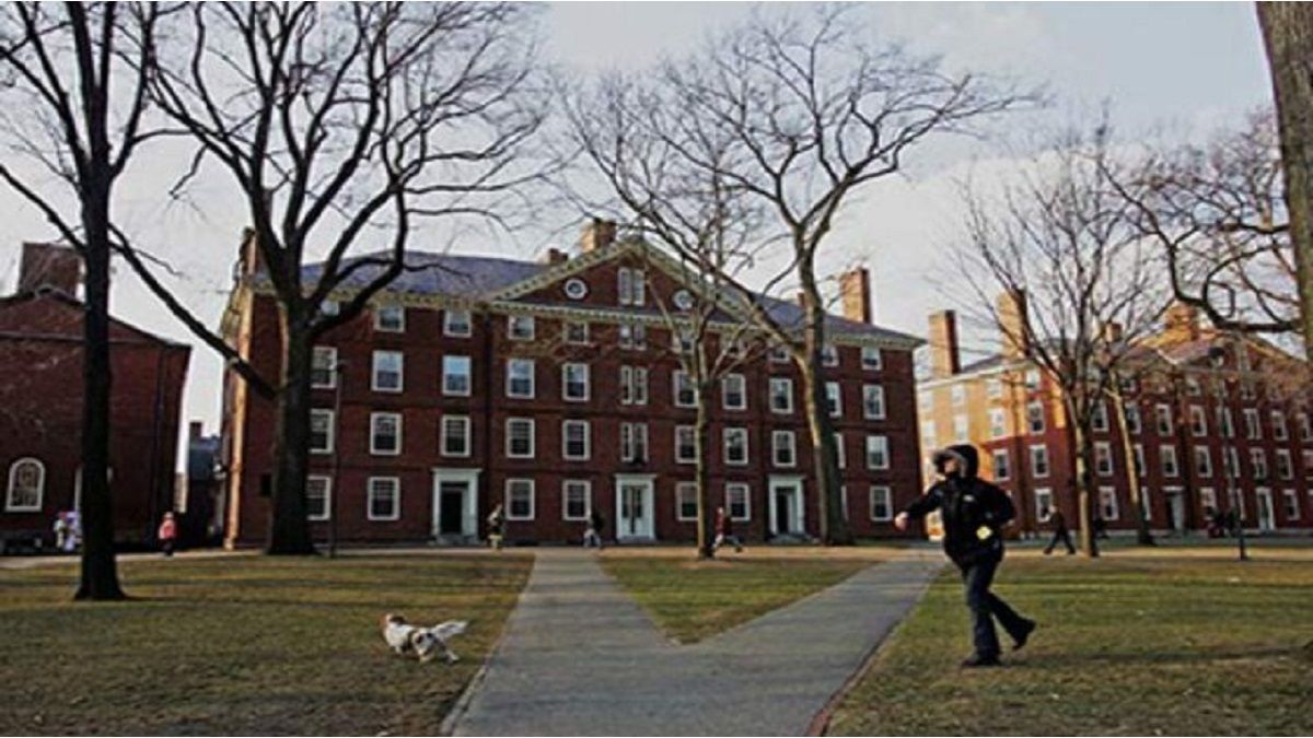 Three unconscious attitudes that “prevent you from improving,” according to Harvard