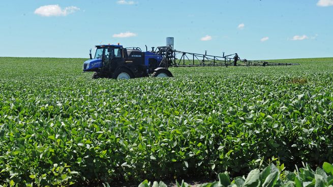 China detectó incumplimientos sanitarios en el 80% de las exportaciones de soja de Uruguay durante 2025.