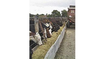 Según los considerandos, la medida responde a la mejora sustancial en los precios de la hacienda vacuna.