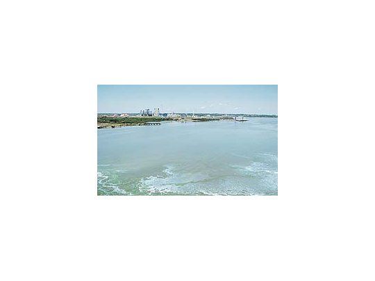 Gobierno confirma que la mancha en río Uruguay eran algas
