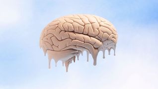 El cerebro es una de las partes del cuerpo que se descompone más rápido tras la muerte.&nbsp;