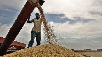 exportaciones del agro impulsaran actividad economica en 2019, segun ecolatina