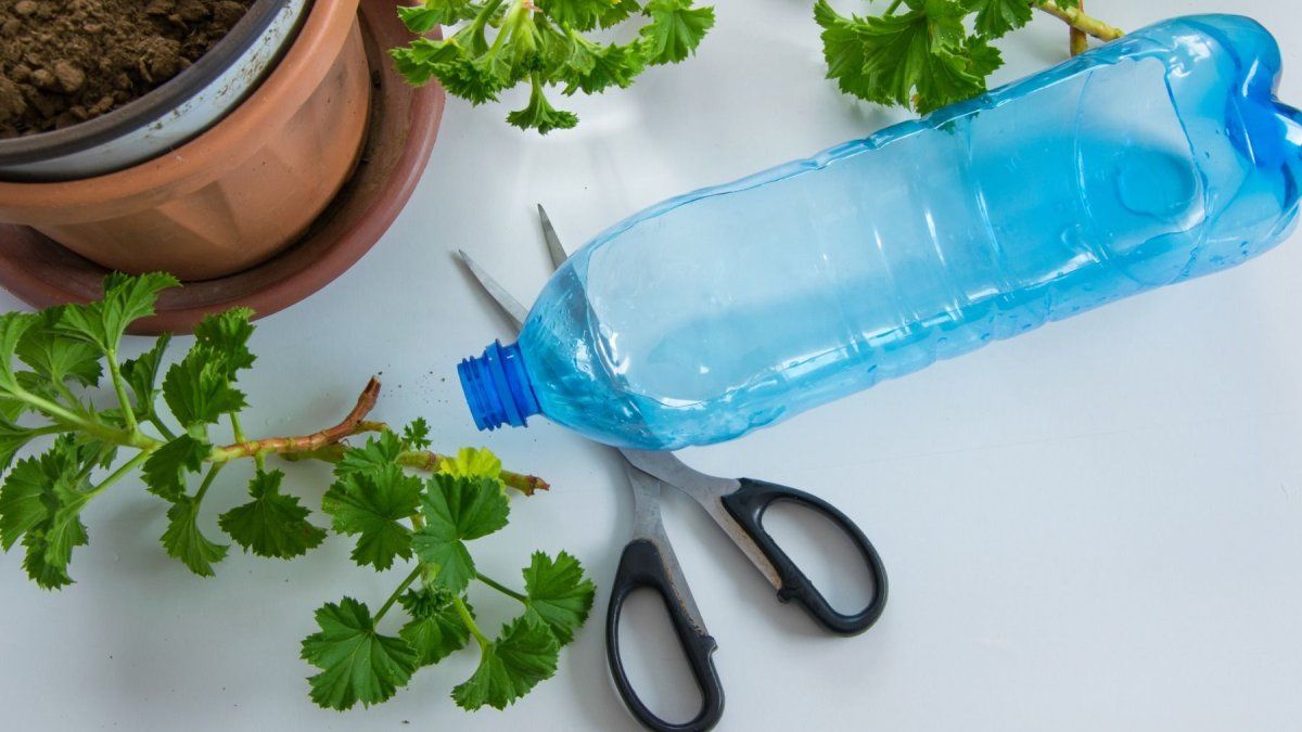 The five ideas to transform the bottles used for your home