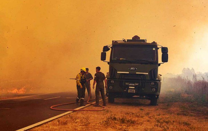 La ganadería totalizó $27.811 millones