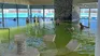 The Termas de Carhué offer Salinas waters and therapeutic mud in a unique natural environment within the province of Buenos Aires.