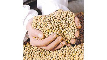 no todo es soja. La industria también solicita que se tenga en cuenta al resto de los cultivos que se producen en la Argentina.