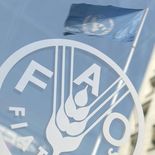 Uruguay busca consolidarse como proveedor global de alimentos de calidad. Uruguay busca consolidarse como proveedor global de alimentos de calidad.