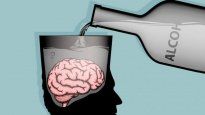 Cerebro.