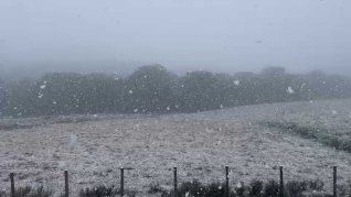 La nieve azotó diferentes ciudades del sur de brasil. 