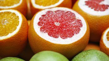 afip renovo beneficios fiscales para productores de citricos