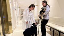 ámbito.com | CLINICAS
