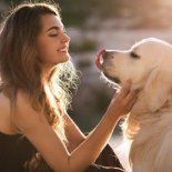 Los científicos indican que los perros pueden aprender hasta 165 palabras a lo largo de su vida.  Los científicos indican que los perros pueden aprender hasta 165 palabras a lo largo de su vida.