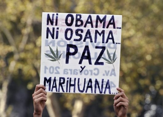 Multitudinaria marcha por la despenalización de la marihuana (foto 1)