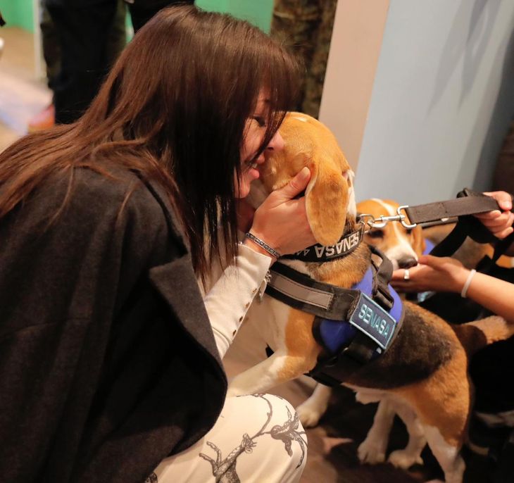 Sandra Pettovello acarició cachorros en La Rural. Sandra Pettovello acarició cachorros en La Rural.