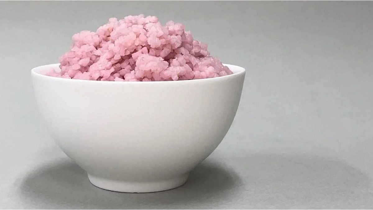 Scientists create a hybrid superfood, with rice and beef cells