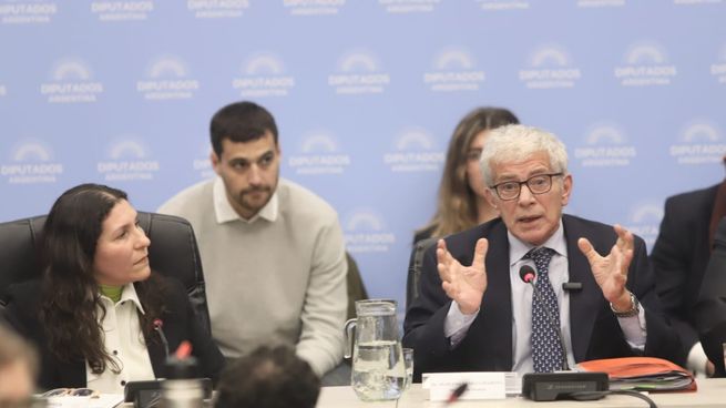 mariano-cuneo-libarona-diputados