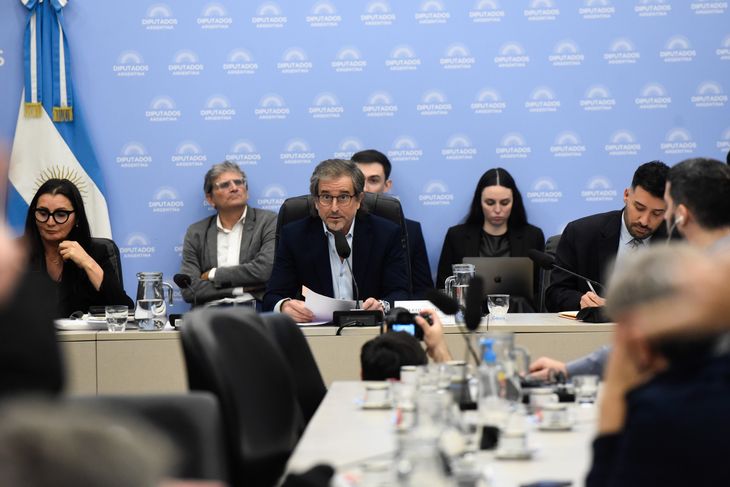 Bertie Benegas Lynch volvió a presidir la Comisión de Presupuesto. Bertie Benegas Lynch volvió a presidir la Comisión de Presupuesto.