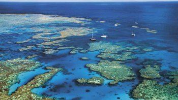 El ecosistema australiano de 2.300 kilómetros de longitud había perdido la mitad de su coral desde 1995.