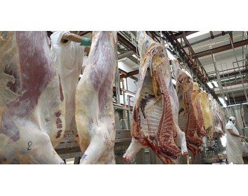 oficial: se abrio la inscripcion para la cuota hilton para exportacion de carne vacuna oficial: se abrio la inscripcion para la cuota hilton para exportacion de carne vacuna