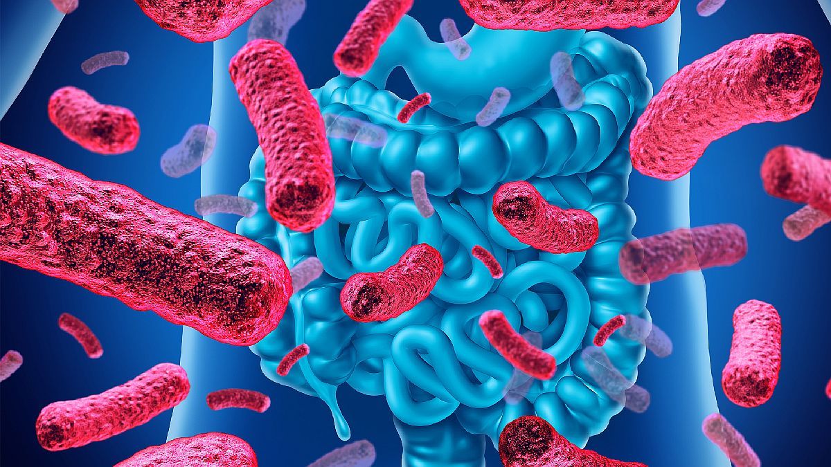 ¿Qué son los probióticos y qué impacto tienen en el cuerpo?