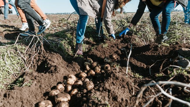 La empresa de abastece de los campos argentinos de papa, máiz y avena. 