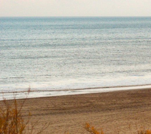 Mar Azul is surrounded by forest and incredible beaches that are all the rage in 2025. Mar Azul is surrounded by forest and incredible beaches that are all the rage in 2025.