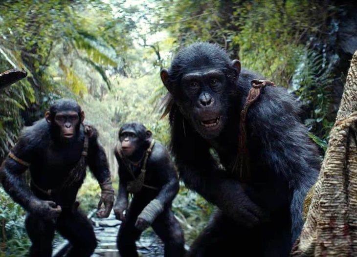 El Planeta de los Simios: Un Nuevo Reino, en Disney+ El Planeta de los Simios: Un Nuevo Reino, en Disney+