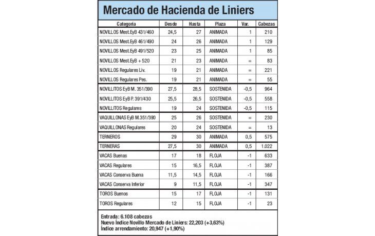Índice Novillo subió un 3,6% en Liniers