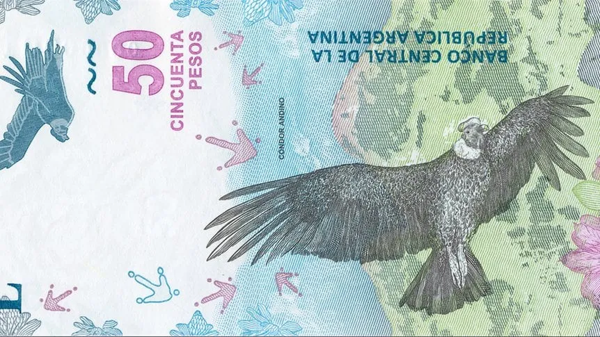 The 50 peso condor bill that you can sell for more than 2 million