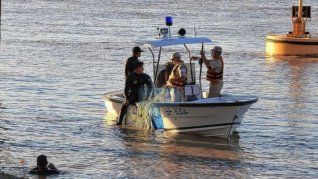 Prefectura mantiene un operativo intenso en el río Paraná para dar con el paradero del policía desaparecido.