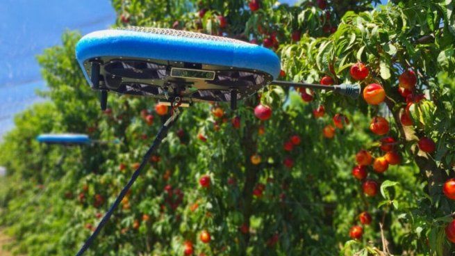 drones para recoleccion de frutas 2.jpg