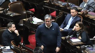 ámbito.com | Germán Martínez UCR Diputados radicales