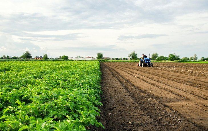 ámbito.com | Campo sequía fertil.jpg