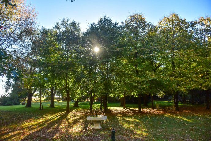 Vagues es un pueblo escondido en la provincia de Buenos Aires con un hotel hecho dentro de antiguos vagones de tren. Vagues es un pueblo escondido en la provincia de Buenos Aires con un hotel hecho dentro de antiguos vagones de tren.