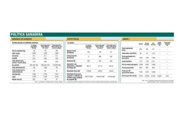 ámbito.com | Producir novillo a campo es un 40% más barato que en feedlot