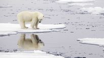El océano Ártico aumentó 4,2 °C su temperatura superficial desde 1982.