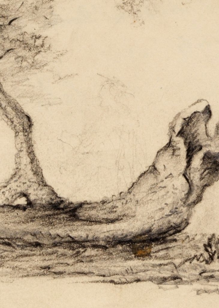 Dibujo de Thomas Howison de 1840 que nos muestra casi como un fantasma a Newton descansando bajo el manzano en la casa familiar de Woolsthorpe, Lincolnshire. Dibujo de Thomas Howison de 1840 que nos muestra casi como un fantasma a Newton descansando bajo el manzano en la casa familiar de Woolsthorpe, Lincolnshire.