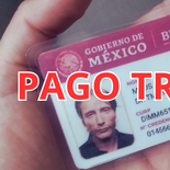 Qué se sabe sonbre el pago triple de noviembre 2026.