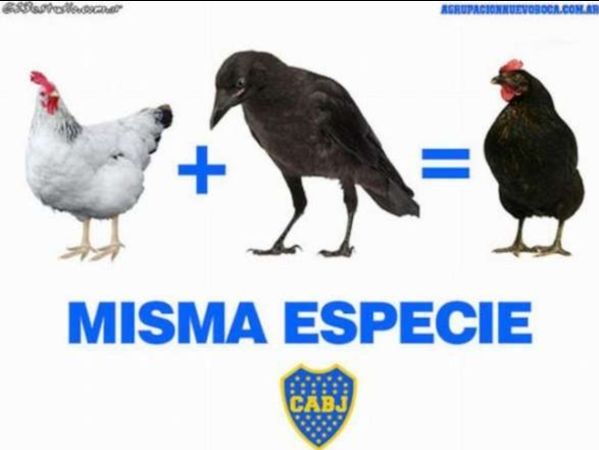 Los hinchas de Boca no tardaron en empapelar la web con afiches.