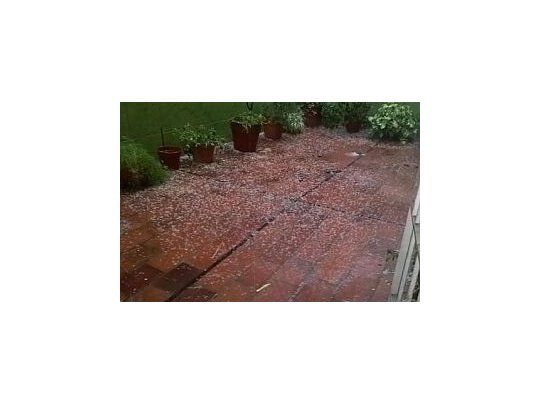 Colegiales fue uno de los barrios sorprendidos por el granizo. Imagen de TV.