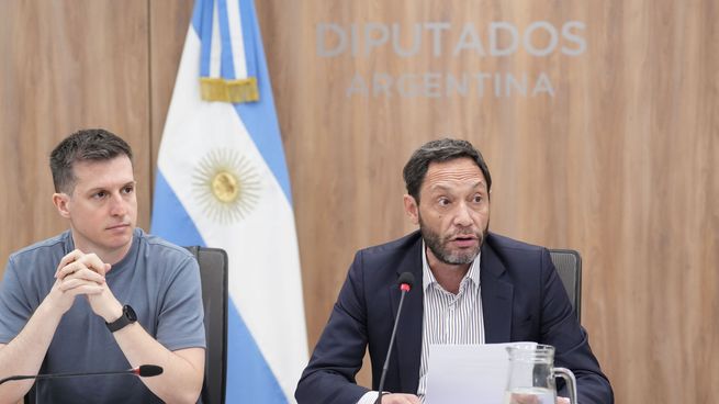 Maximiliano Ferraro y Juan Marino, autoridades de la comisión $LIBRA en Diputados.