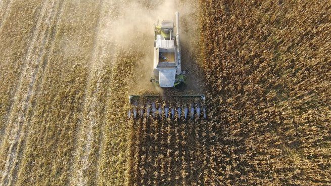 Lipsa explota más de 120.000 hectáreas, de las cuales alrededor de 36.000 son propias.&nbsp;